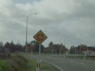 [Roundabout RR Xing]