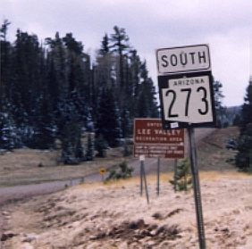[AZ 273]