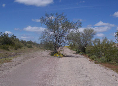 [Abandoned AZ 84]