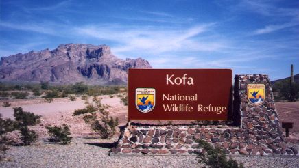 [Kofa Wildlife Refuge]