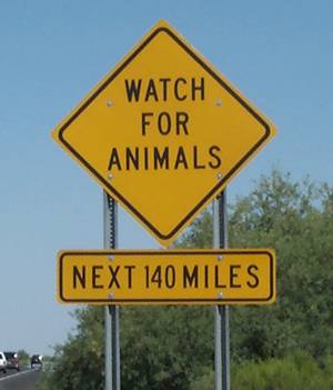 [Watch for Animals Next 140 Miles]