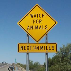 [Watch for Animals Next 144 Miles]