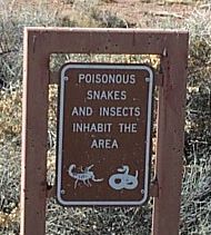 [Poisonous snakes and insects]