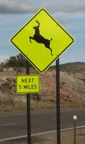 [Strong yellow-green Deer XING]